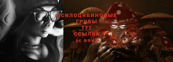 мескалин Гусев
