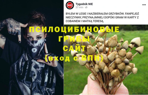 мескалин Гусев