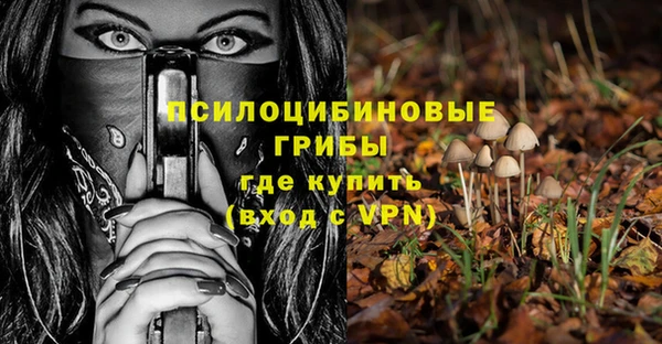 мескалин Гусев