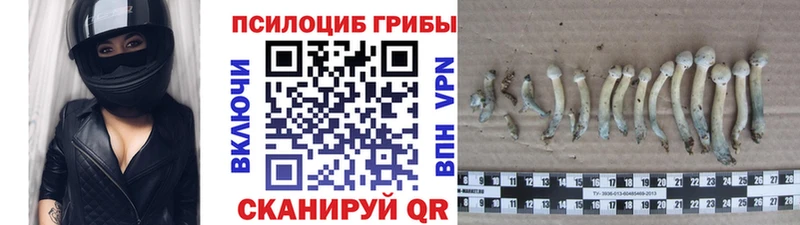 Галлюциногенные грибы MAGIC MUSHROOMS  Москва 