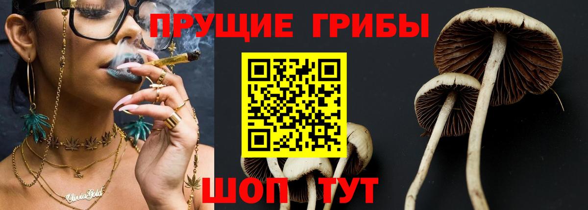 Галлюциногенные грибы Magic Shrooms  Вход с VPN  Москва 